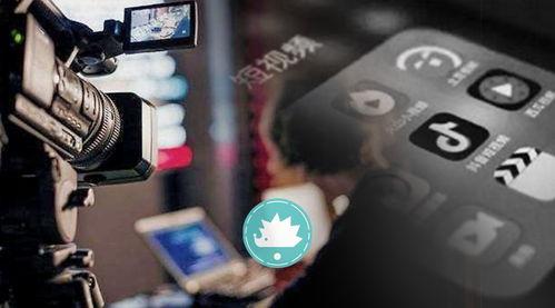 国产家居博主短视频