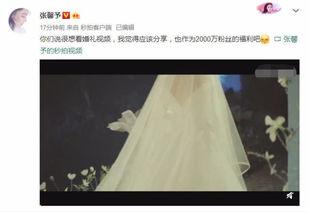 国产婚礼门视频,一场视觉盛宴的浪漫演绎