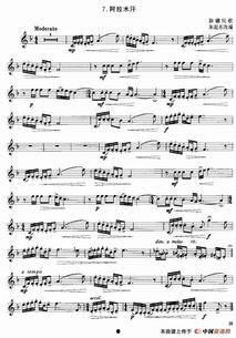 国产最好的小号曲子视频,旋律动人，情感真挚